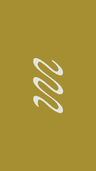 Profile picture of StudioStayc
