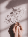 Profile picture of Self-Growth+